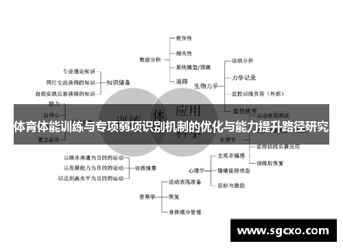体育体能训练与专项弱项识别机制的优化与能力提升路径研究
