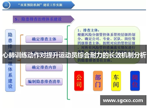 心肺训练动作对提升运动员综合耐力的长效机制分析